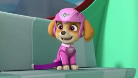 برنامه کودک جدید سگ های نگهبان - انیمیشن سگهای نگهبان دوبله فارسی - کارتون سگ ها