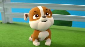 سگ های نگهبان ٫٫ کارتون سگهای نگهبان جدید ٫٫ انیمیشن سگهای نگهبان دوبله فارسی