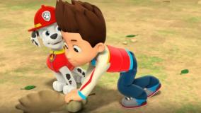 کارتون سگهای نگهبان/ سگ نگهبان دوبله فارسی/ سگهای نگهبان/ انیمیشن سگهای نگهبان