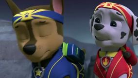 سگهای نگهبان/ دانلود سگ نگهبان/ انیمیشن سگ های نگهبان/ کارتون سگهای نگهبان