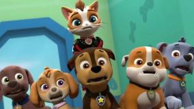 سگ های نگهبان دوبله فارسی،کارتون سگ نگهبان,سگهای نگهبان-انیمیشن سگهای نگهبان