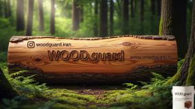 استحکام رنگ چوب آلاچیق در سرما با رنگ وودگارد WOOD.guard