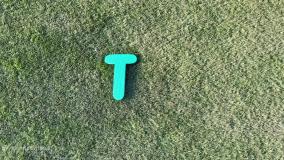 دیانا و روما جدید - دیانا روما - دیانا شو - بازی با گربه - کودک دیانا و روما