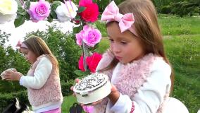 ماجراهای سوفیا کوچولو - اپیزود 45 - اسباب بازی های جادویی