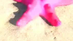 ماجراهای سوفیا کوچولو - اپیزود 30 - لباس جدید و آرایش پرنسس سوفیا شاهزاده کوچولو