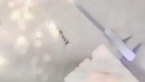 مرکز تخصصی خدمات یو پی اس در مشهد