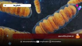 تحقیقات موثر و امیدورکننده درباره پارکینسون