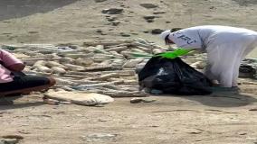 وضعیت تلخ سواحل هرمز در تعطیلاتی که گذشت!