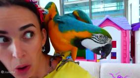 ولاد-ولاد و نیکیتا ولاد و نیکی جدید برنامه کودک ولاد و نیکی ولاد نیکیتا طولانی