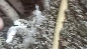 نشت یابی تبریز09148882071نشتیابی تبریز09379241123تشخیص ترکیدگی لوله تبریز