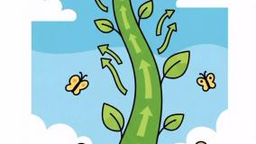 یادگیری قسمت های گیاهان