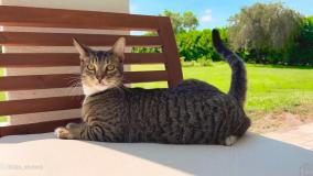 ناستیا جدید ناستیا شو ناستیا و بابایی برنامه کودک ناستیا-ناستیا استیسی جدید