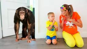 ولاد و نیکی جدید - میمون خانگی ولاد و نیکی - ولاد و نیکیتا - ولاد نیکی