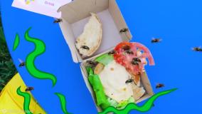 ولاد و نیکی - ولاد و نیکی آشپز می شوند - سرگرمی برنامه کودک