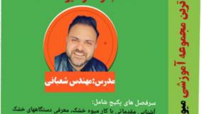 چگونه فروش میوه خشک خود راه افزایش بدی