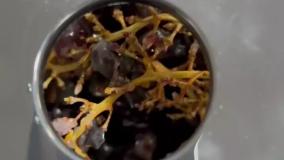 عصاره گیر عرشیا