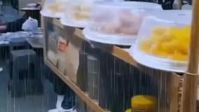 گردشی در رشت با دکتر نجفی