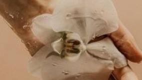 انواع روش های روشن کردن ناحیه بیکینی :