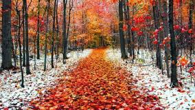 هواشناسی: تهرانی‌ها شاید اولین بارش پاییزی را فردا ببینند ۱ مهر ۱۴۰۴