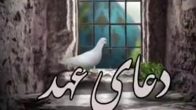 دعای عهد(با سرعت بالا)