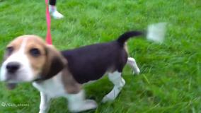 برنامه کودک دخترانه - برنامه کودک آیوا و مامان - کودک سرگرمی تفریحی بانوان