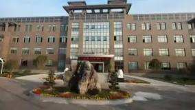 معرفی برند RISEN