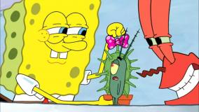 باب اسفنجی و شلوار مکعبی - باب اسفنجی جدید - انیمیشن باب کارتونی ها