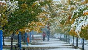 امروز و فردا در کدام مناطق باران می‌بارد؟