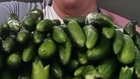 چالش فود آسمر / ویدئو جدید / سهند آسمر خوردن کوه خیار