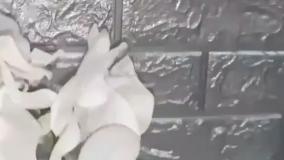 دکوراسیون داخلی منزل