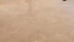 سینک مینیمال خانه کارداشیان