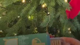 کریسمس در کاخ باکینگهام