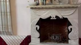 خانه ایرانی اصیل به این شکل است