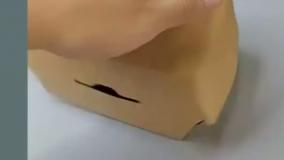 جعبه همبرگر قفل دار | خرید عمده جعبه همبرگر سفره‌ای