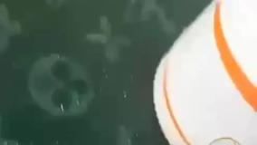 پرزگیر برقی نوا قیمت : 193/000 تومان کارتن : 60 عددی