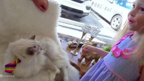 ناستیا و استیسی ناستیا شو ناستیا و بابایی برنامه کودک ناستیا ناستیا استیسی جدید