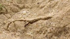 ماشین بازی طولانی ،کارتون ماشین بازی ،سرگرمی کودک ماشین بازی ، ماشین اسباب بازی