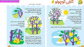 قصه صوتی کودکانه رایگان &laquo;گلابی کوچولو&raquo;
