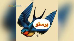 قصه صوتی کودکانه پرستو