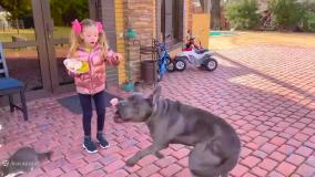 برنامه کودک ناستیا _ ناستیا و بابای خنده دار _ یک سفر خانوادگی به خانه مادر بزرگ