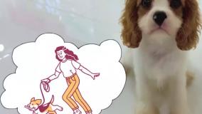 ناستیا و استیسی.ناستیا شو ناستیا و بابایی برنامه کودک ناستیا.ناستیا استیسی جدید