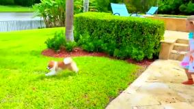 ناستیا جدید، ناستیا، ناستیا و بابایی، برنامه کودک ناستیا، ناستیا و استیسی