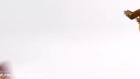 دانلود - ماشا و خرس - کارتون ماشا و آقا خرسه - انیمیشن ماشا میشا