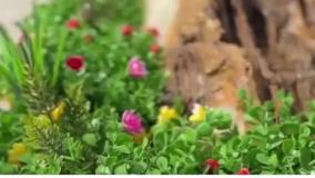 سنگ قبر ادایی