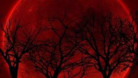 تایم‌لپس زیبا و دیدنی از ماه خونین دیشب!