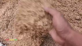 ماشین بازی کودکانه | کامیون _ موتور سیکلت _ میکسر