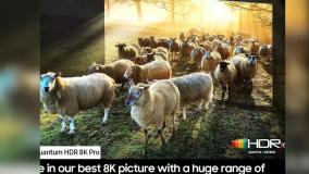 تلویزیون سامسونگ QN900D سایز 85 اینچ 85QN900D