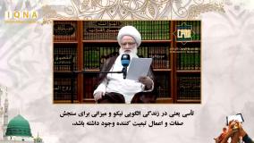 آیت‌الله یعقوبی در وبینار ایکنا: پیامبر(ص) اسوه‌ای مطلق و تأکید‌شده در قرآن است