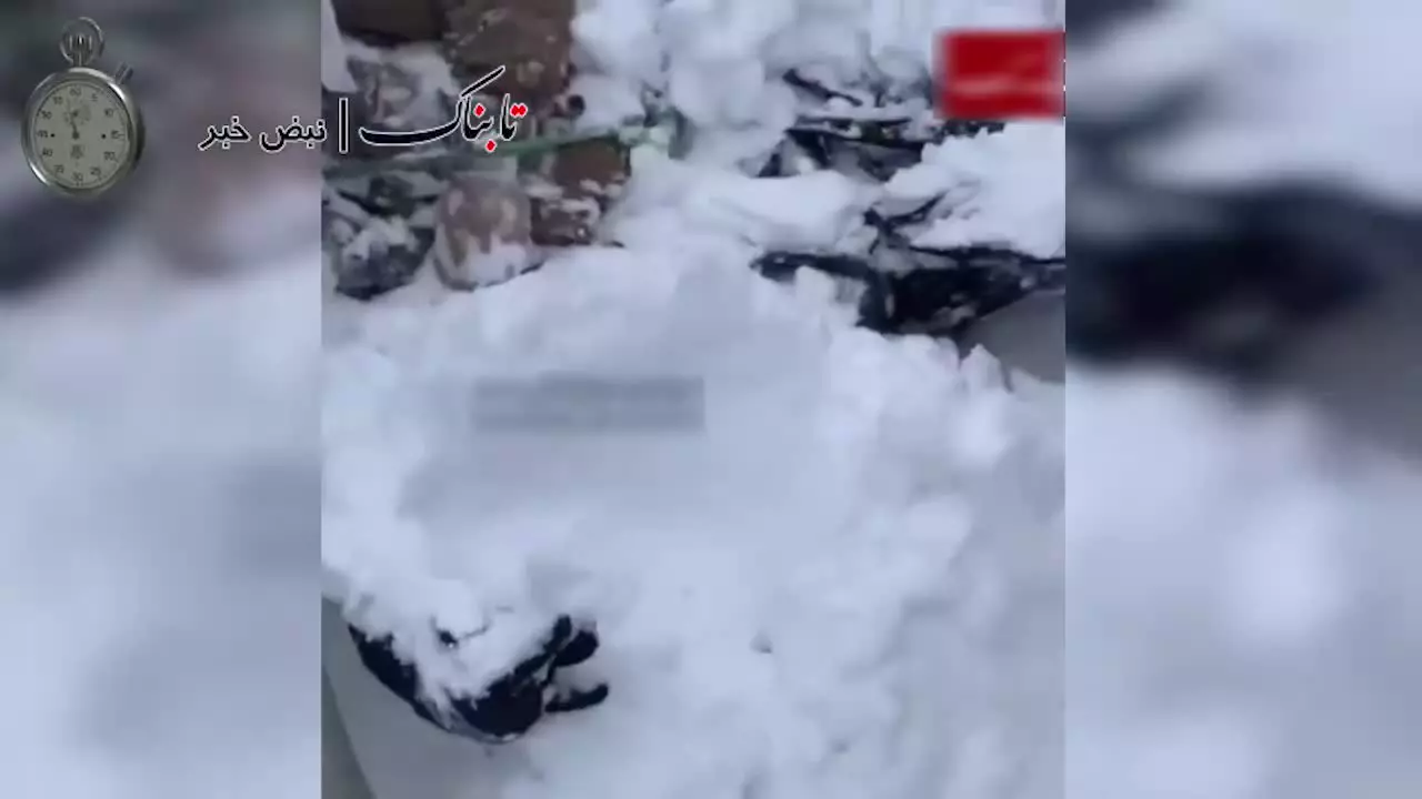 لحضه ی کشف جسد شهیدی کهدر برف یخ شد !!!!