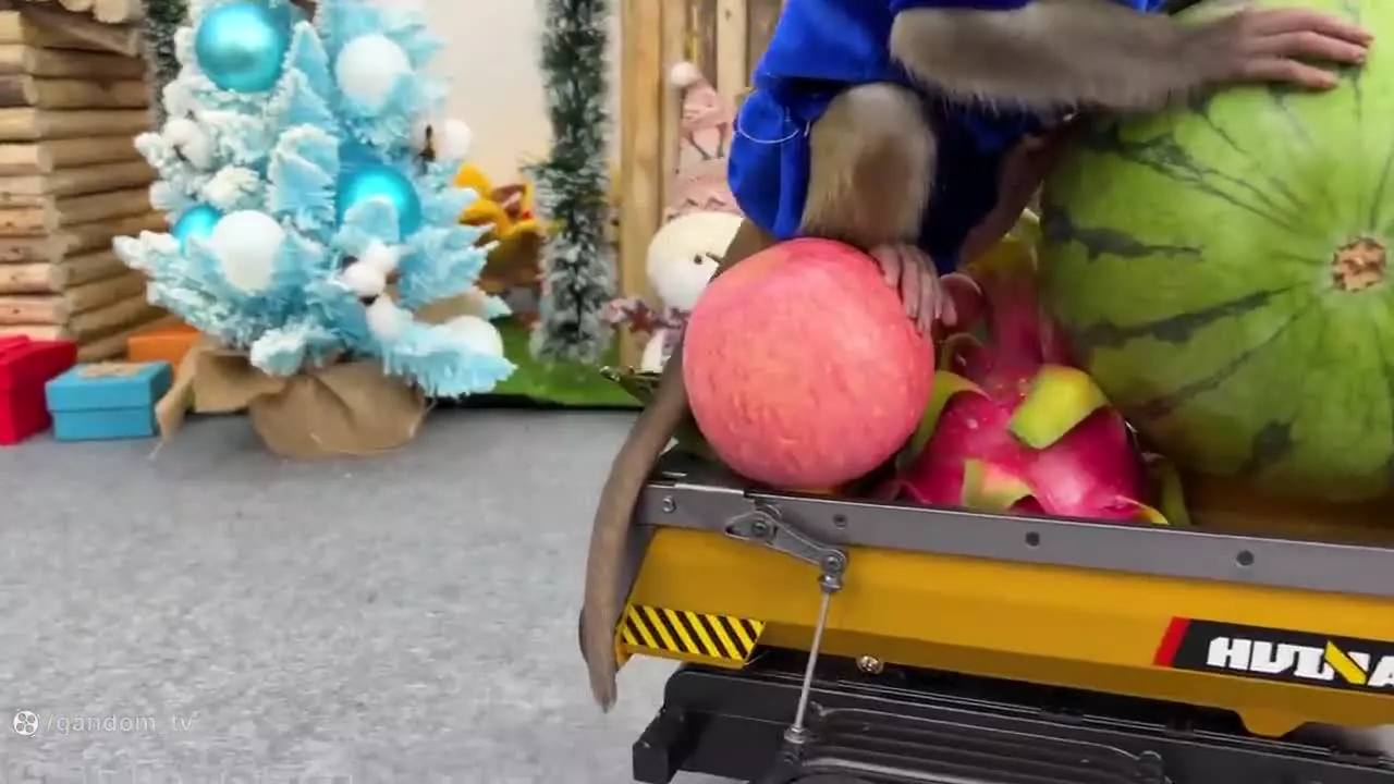 ماجراجویی میمون کوچولو با کامیون میوه - سرگرمی هیجان‌انگیز برای بچه‌ها!